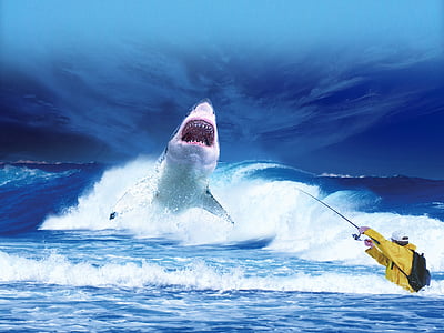 white shark on sea thumbnail