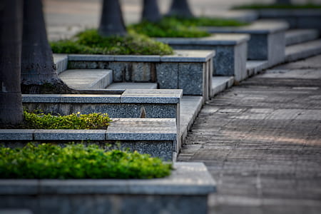 green plants thumbnail