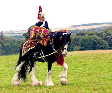 man riding on horse thumbnail