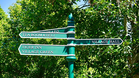 nature, sign, trees, arrow thumbnail