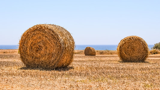brown bale of hay thumbnail