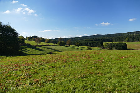 green grass field thumbnail