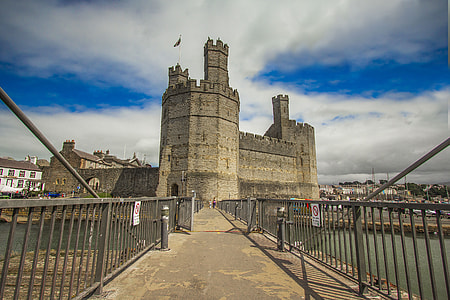 portrait of a bridge leading towards a castle during day time thumbnail