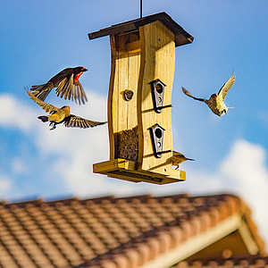beige wooden hanging bird house under blue sky during daytime thumbnail