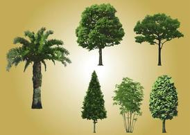 Realistic Tree Vectors ai file