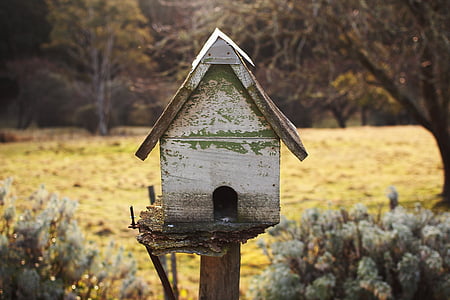 wooden birdhouse near trees thumbnail