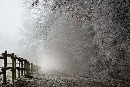brown wooden fence thumbnail