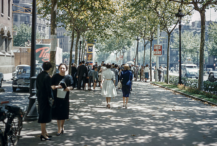 group of people walking on the streets thumbnail