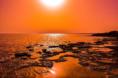 seashore under broad sunlight thumbnail