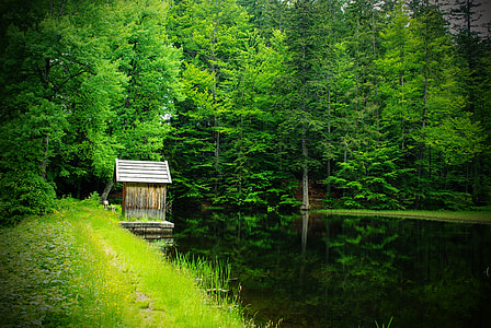 brown wooden house beside body of water thumbnail