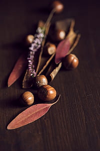 brown acorns beside leaves on brown wooden desk thumbnail