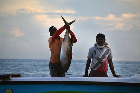 man holding gray fish on white and blue boat thumbnail