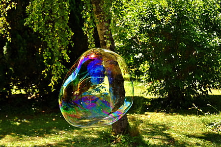 photography of bubble near tree at daytime thumbnail