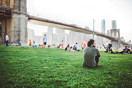 man sitting on grass near Brooklyn Bridge thumbnail