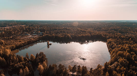 aerial photo of forest and lake thumbnail