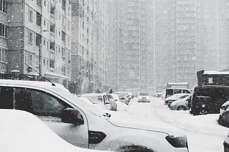 vehicles covered with snow thumbnail