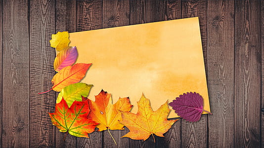 leaves illustration thumbnail