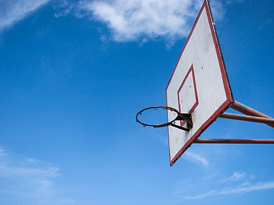 shallow focus photo of basketball hoop thumbnail