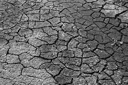grayscale photo of dried soil pavement thumbnail