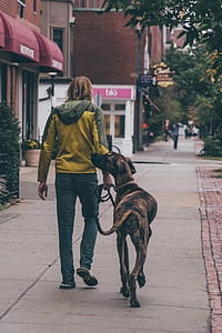 A Man Walking in The Street With His Dog thumbnail