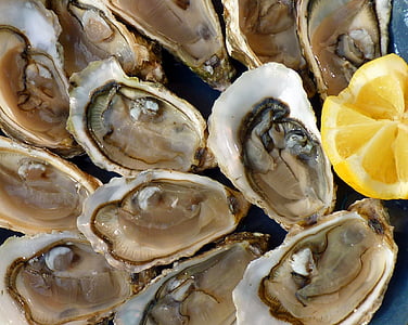 oysters with slice lemon thumbnail