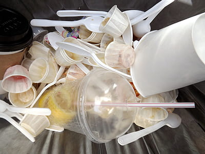 assorted disposable cups thumbnail
