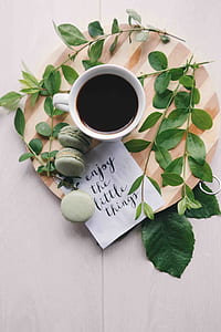 three matcha French macarons near leaves and cup with beverage thumbnail