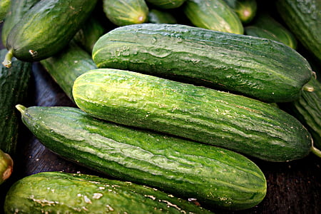 bunch of cucumbers thumbnail