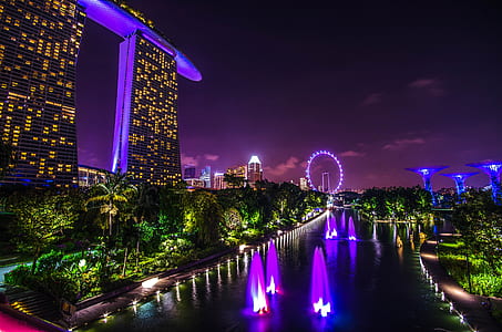 Marina Bay Sand during night time thumbnail