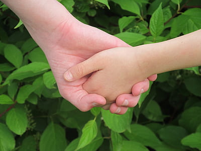 two person holding hands thumbnail