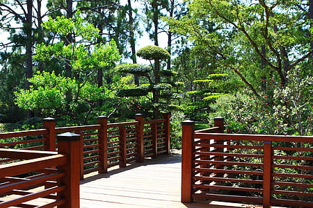 empty footbridge near plants thumbnail
