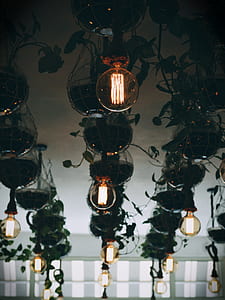 glass light bulbs thumbnail