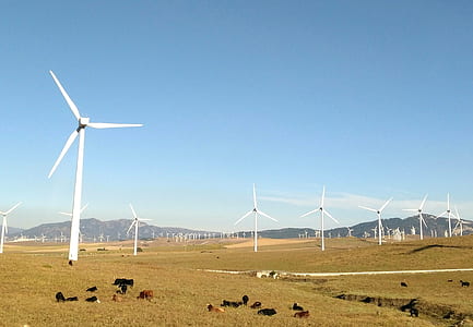 white windmill thumbnail