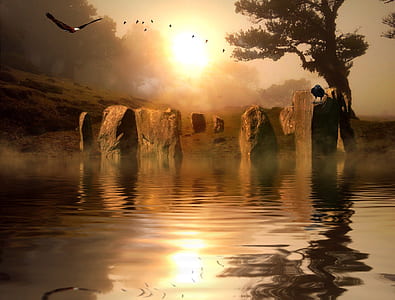 body of water near green tree during sunrise thumbnail
