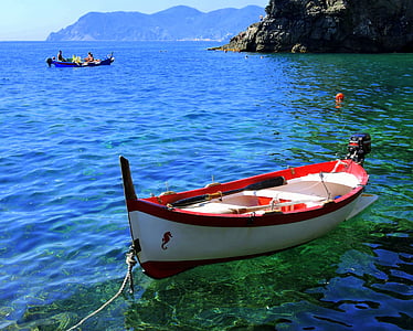 red and white canoe on green water thumbnail