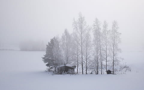 gray wooden house covered with snow at daytime thumbnail