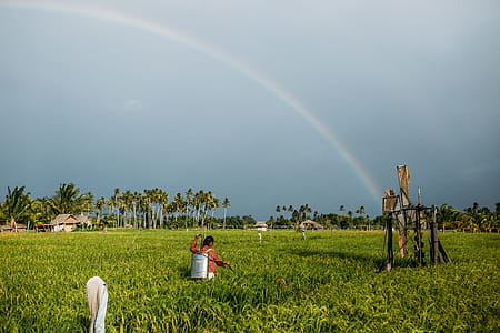 Woman Standing on Grass Field thumbnail