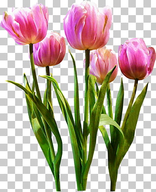 Page 4 840 Pastel Flower Png Cliparts For Free Download Uihere