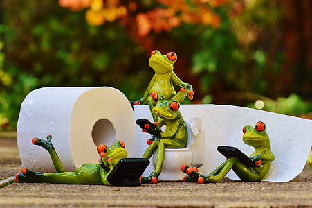 selective focus photography of several red eyed tree frog figurines beside white toilet paper roll thumbnail