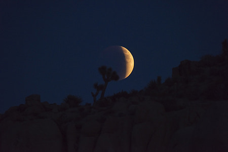 crescent moon thumbnail