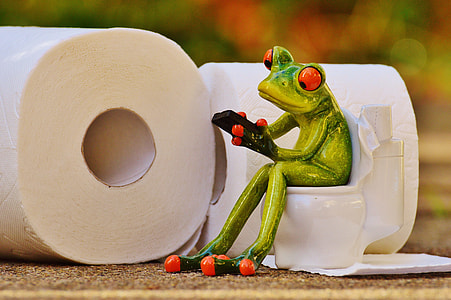 selective focus photography of green ceramic frog figurine thumbnail