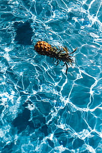 Pineapple in a swimming pool thumbnail