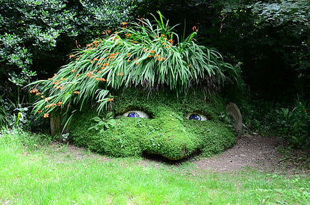 green grass form human head thumbnail