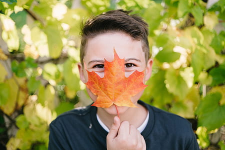 boy holding brown leaf thumbnail