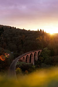 gray concrete bridge near green leafed trees during daytime thumbnail