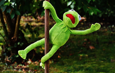 Kermit the Frog holding on pole thumbnail