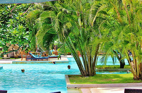 people in swimming pool at daytime thumbnail