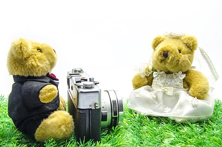 two bear plush toys having a photo shoot thumbnail