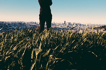 person standing on plants thumbnail