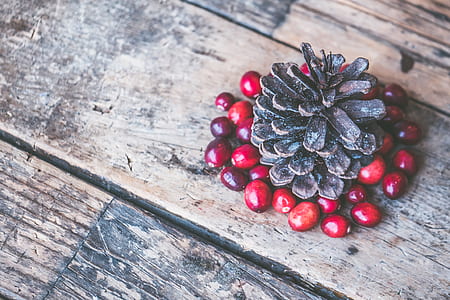 Brown Pine Cone Surrounded by Red Cranberry Photography thumbnail